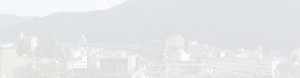 top_bg001